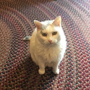 Meet your Posher, Mary